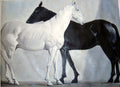 Two Horses